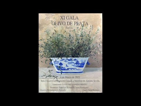 XI Gala Olivo de Plata. Actuación de El Palermasso.