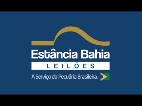 Leilão Virtual Estância - Bahia Corte Goiás | 14/04/2024  às 14hs
