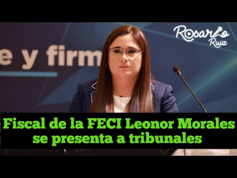 Fiscal Leonor Morales busca sumar querellantes contra el Partido Semilla por corrupción