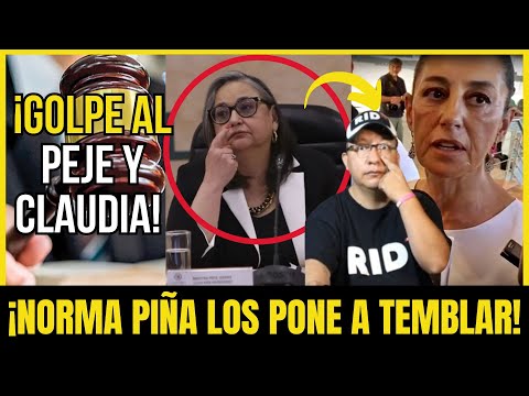 NORMA PIÑA PONE de CABEZA a OBRADOR: ¡SHEINBAUM ESTÁ en SERIOS PROBLEMAS! | Compilación #426