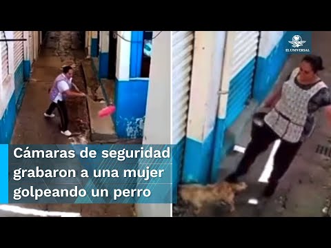 Por agredir a un perrito, suspenden local de mujer en Ecatepec