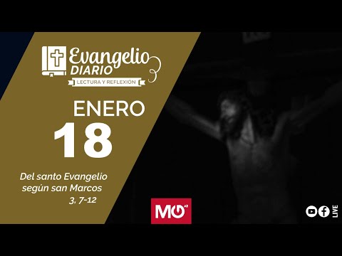 Lectura y reflexión | 18 de enero 2024 | Del santo Evangelio según san Marcos 3, 7-12