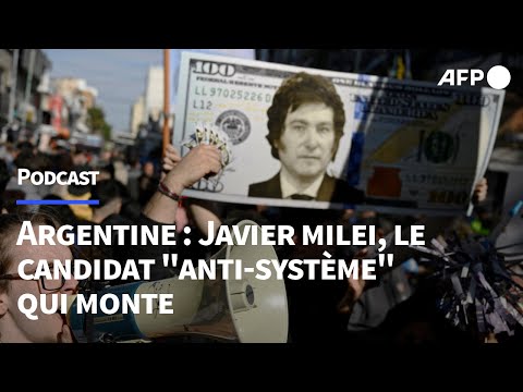 Javier Milei, le candidat anti-système qui monte en Argentine