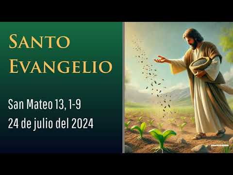 Evangelio del 24 de julio del 2024 según Mateo 13, 1-9