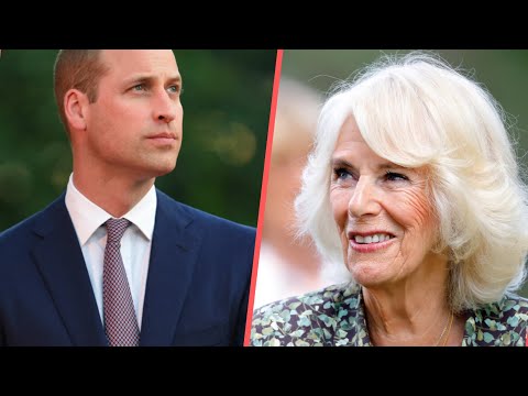 Camilla Parker en convalescence : Prince William a? son chevet, les de?tails de son re?tablissement