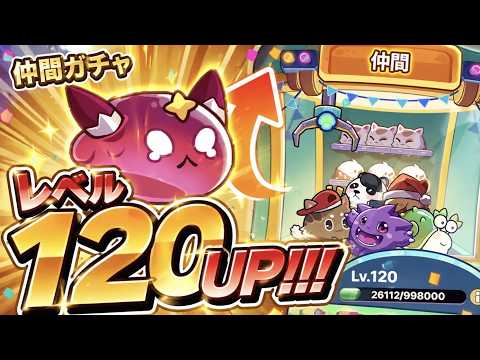 LR仲間使用可能！？かるーく計算してみた【キノコ伝説】【玄人向け】