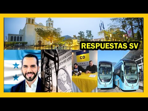 Respuestas: Transporte Sitrams, reelección presidente, Bukele Honduras, AFP, petróleo y dólares