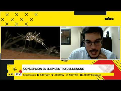 Concepción, el epicentro del dengue en la actualidad