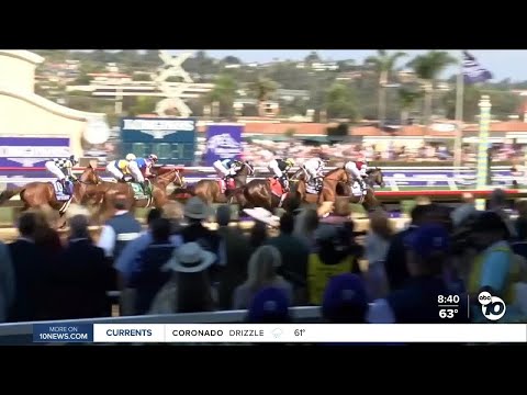 Thousands of horse racing fans flock to Del Mar for Breeders' Cup