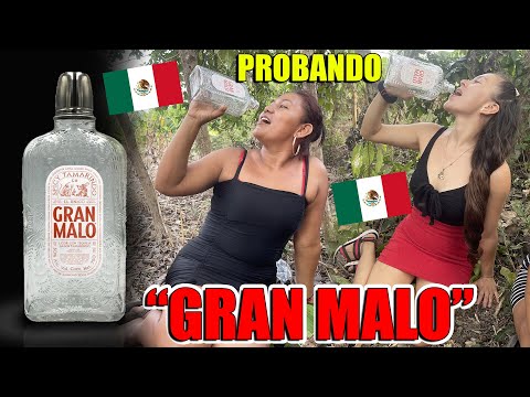 Salvadoreñas Reaccionando al Tequila de Luisito Comunica - El Famoso GRAN MALO ¿Qué Sabor Tiene?