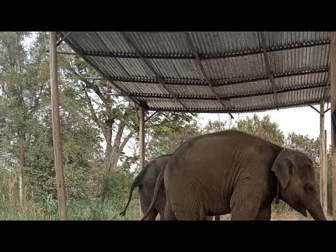 สวัสดียามเย็นครับ