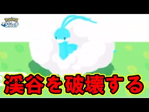 アンバー渓谷準備ウィークが始まりました。【ポケモンスリープ】