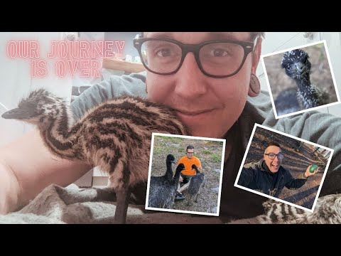 YouTube video thumbnail