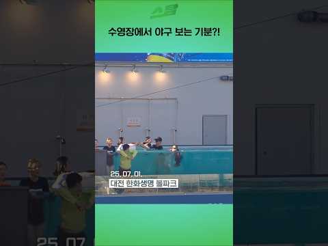 수영장에서 야구 보는 기분?!