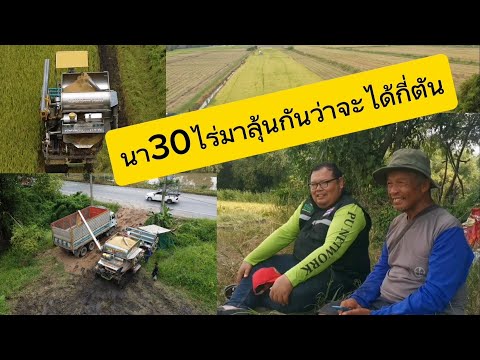 นาลุงชุมพร​|นา30ไร่มาลุ้นกั