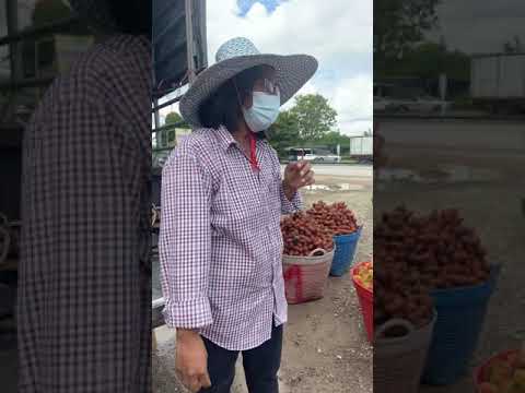 ตลาดเงาะนายายอาม ตลาดเงาะนายายอาม