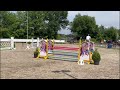 Show jumping horse Fijn te rijden chique sportpaard