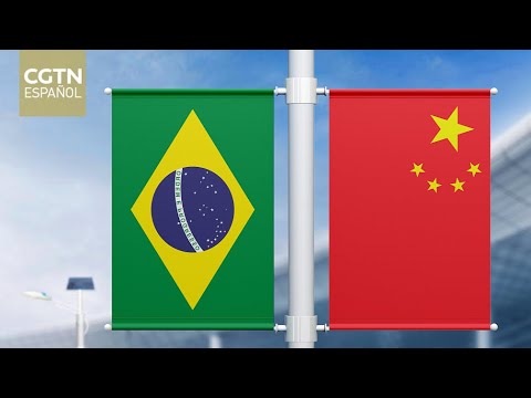 La tecnología y los barcos ecológicos fortalecen el desarrollo del comercio marítimo China-Brasil