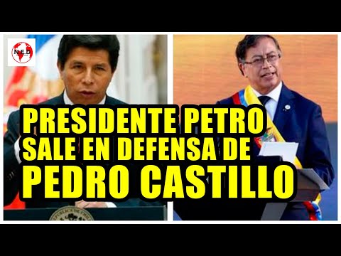 INCREIBLE  PRESIDENTE PETRO SALE EN DEFENSA DE PEDRO CASTILLO