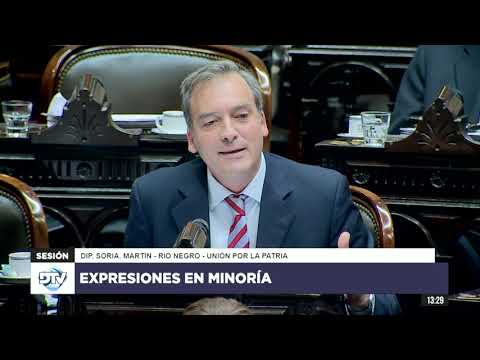 Diputado Soria, Martín - Expresiones en minoría 24-04-2024