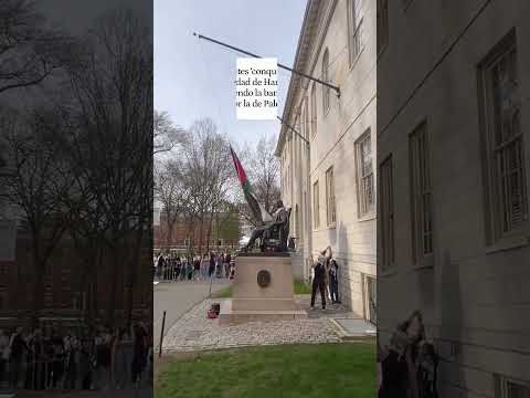Estudiantes 'conquistan' la Universidad de Harvard cambiando la bandera de EEUU por la de Palestina