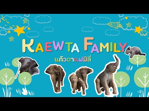 Kaewta Family ตลาดผลไม้กับบ้านแก้วตาสมทบคะแนนจัดงานวันเกิด🍌🍎🍐🍊🍋🥒🌽