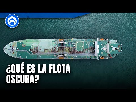 La ‘Flota oscura’: un peligro ruso para el medio ambiente