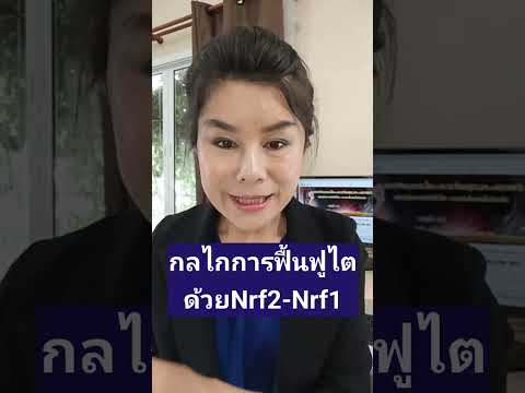 กลไกการฟื้นฟูไตเสื่อมด้วยNrf2-