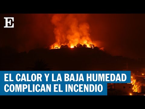 INCENDIO | El fuego en Tenerife deja más de 12.800 hectáreas quemadas y 13.000 evacuados | EL PAÍS