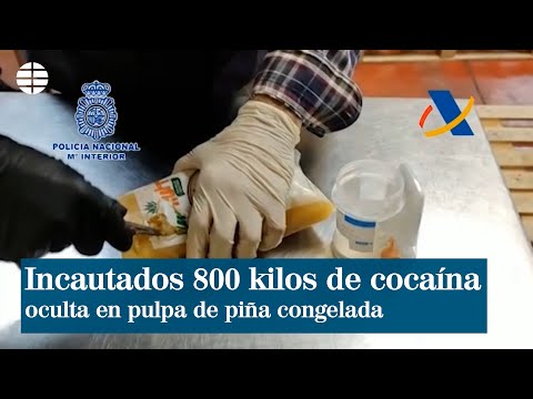 Incautados 800 kilos de cocaína oculta en pulpa de piña congelada | EL MUNDO