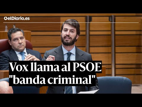 Gallardo (Vox) llama al PSOE banda criminal liderada por Sánchez en las Cortes de Castilla y León