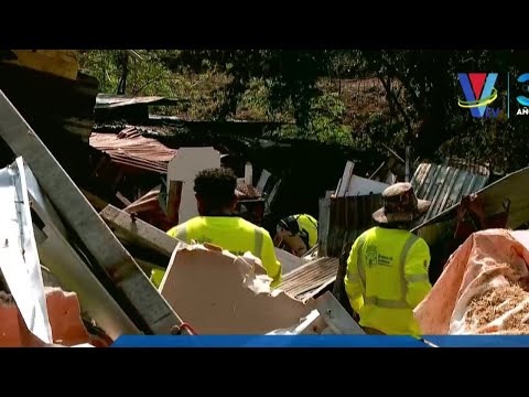 Derrumbe de un árbol deja sin vivienda a 9 familias