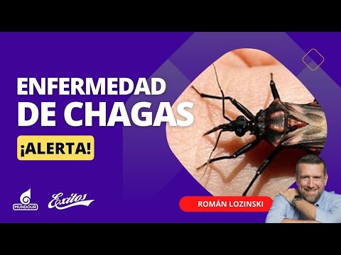 ¡Alerta! Enfermedad de Chagas y sus riesgos de contagio en Venezuela