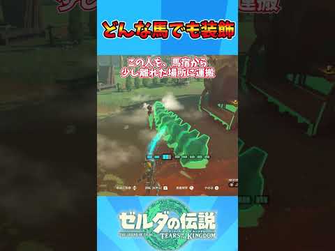 どんな馬でも装飾する技 #ゼルダの伝説 #バグ #ティアキン