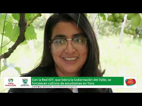 Comunidad de la I.E. Técnica Agropecuaria de #Toro, protagonistas del piloto #IoT en el Valle
