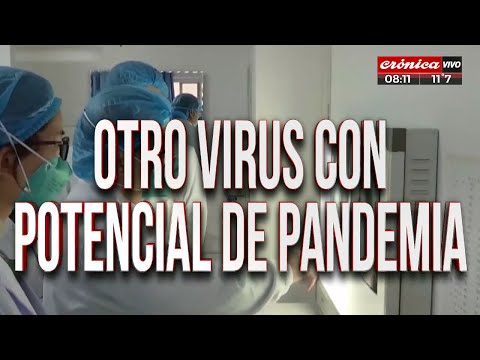 China: Hallaron otro  virus con potencial de pandemia