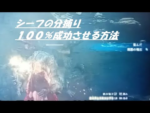 【ドグマ２】シーフの分捕り１００％成功させる方法（煙玉使って分捕る）