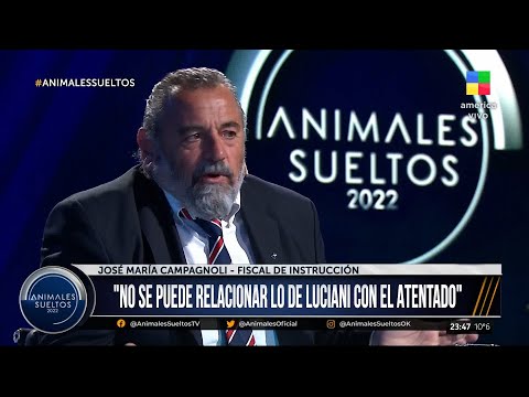 ? El fiscal José María Campagnoli mano a mano con #AnimalesSueltos