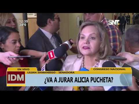 Congreso Nacional: ¿Va a jurar Alicia Pucheta?