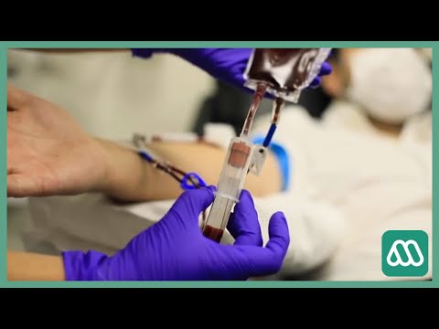 Plasma Convaleciente | Primer chileno recuperado con plasma de pacientes que superaron el virus