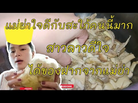 EP.269สาวลาวใต้สะใภ้ศรีสะเกษ