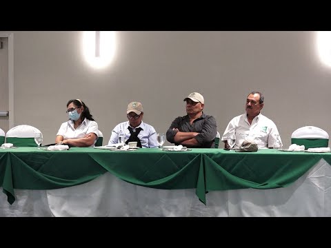 Nicaragua cuenta con 215 fincas certificadas de ganadería sostenible