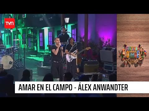 Amar En El Campo -  Álex Anwandter | Olmué 2020