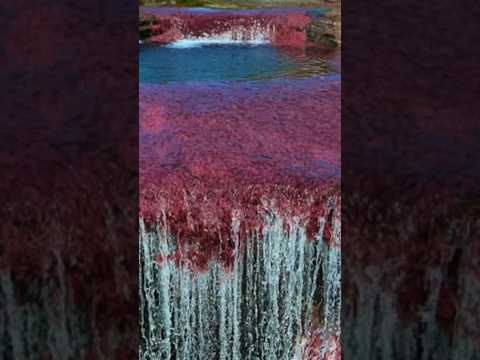 #lomejor de caño cristales