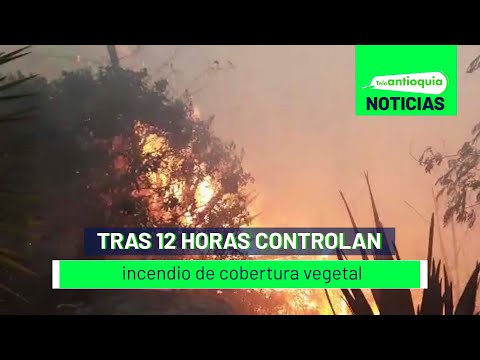 Tras 12 horas controlan incendio de cobertura vegetal - Teleantioquia Noticias