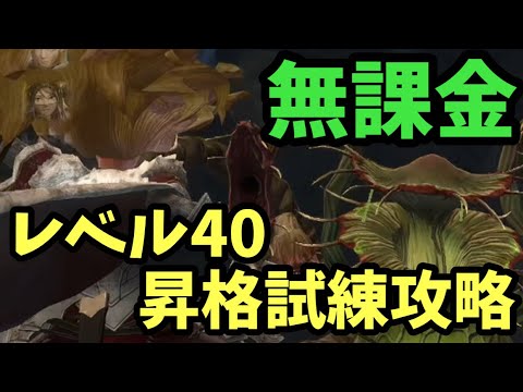 【無課金】40レベル解放試験ボス攻略【ウィザードリィダフネ】Wizardry Variants Daphne #ウィズダフネ