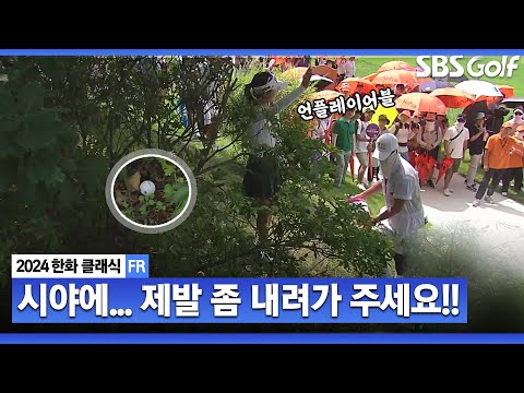 [2024 KLPGA] 티샷이 밀린 이예원... 결국 언플레이어블 선언!! 내려가 주세요 애끓는 목소리_한화 클래식 FR