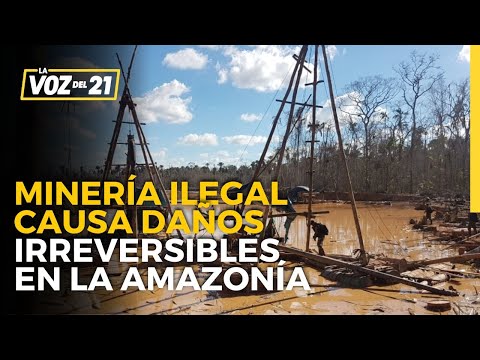 Día de la Tierra: Iván Arenas: Minería ilegal causa daños irreversibles en la Amazonía del Perú