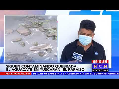 Contaminación en río El Aguacate hace estragos en fauna de Yuscarán, El Paraíso