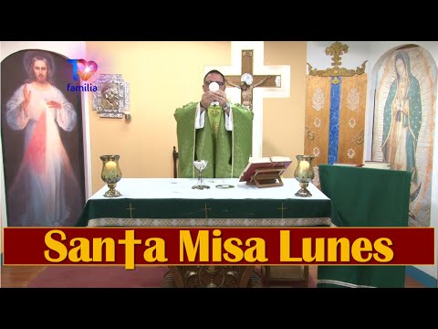 Misa Lunes 24 Junio 2024 Padre Pedro Reyes  TVFAMILIA.COM y AppTVFAMILIA @TVFAMILIA-TV #Misa